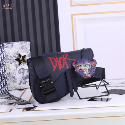 Dior Bags AAA 066
